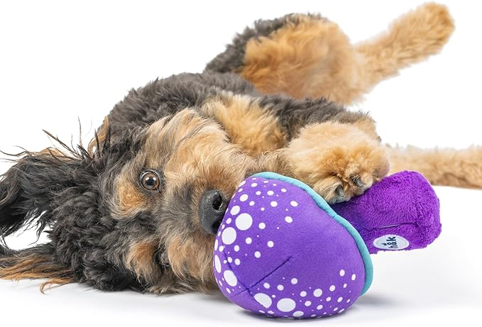 Huxley & Kent for Dogs | Mellow Mushroom (Large) | Funny Dog Toy | Power Plush Dog Toy with Squeaker | Dog Gift | Fun, Durable | H&K Squeaky Dog Toy