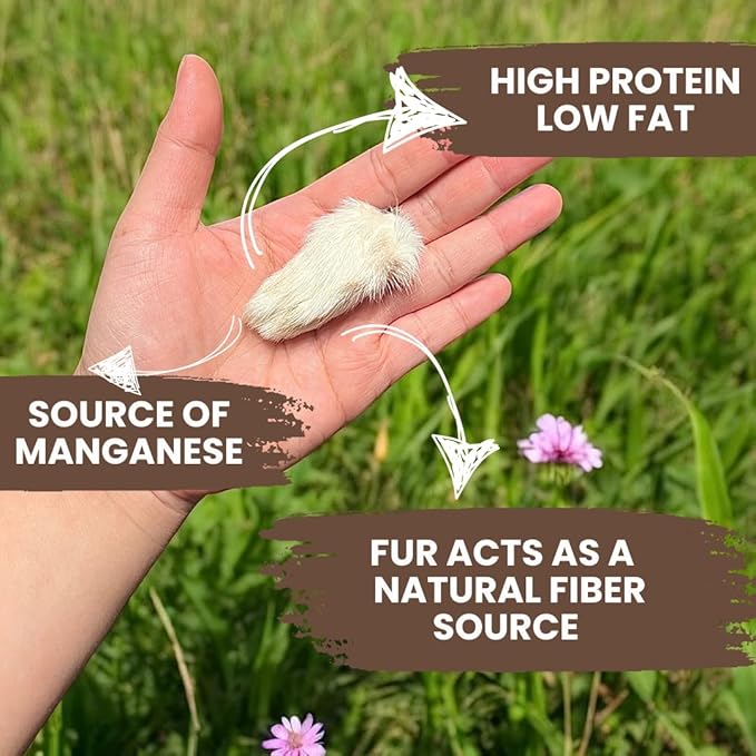 Rabbit Feet for Dogs & Cats - Air Dried Rabbit Feet Dog Treats - Made in USA - Rabbit Front Feet for Cats & Dogs - Whole Rabbit Feet with Fur for Dogs - Rabbit Feet Pet Treats- 24 Count