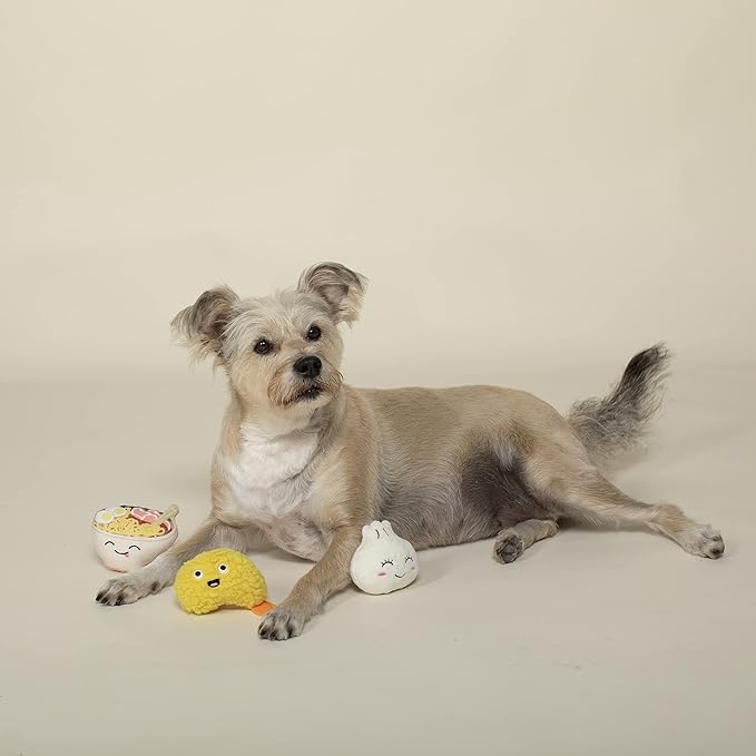 Fringe Studio Plush Dog Toy Set, Soy INTO You, 3 Piece Set, for Small Dogs (289517)