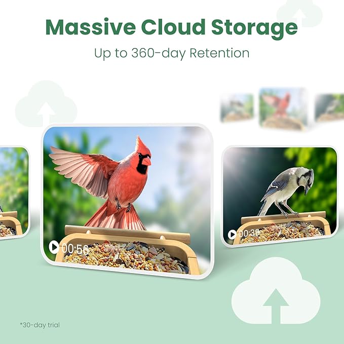 Smart Bird Feeder Camera with Solar Panel (Bamboo), 2.5K UHD AI Identification, Real-time Videos & Pictures, Wireless Solar Powered Outdoor, Ideal Garden Decor & Bird Watcher, Gift for Dad