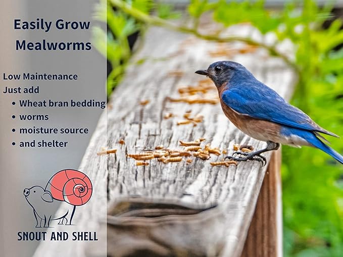 Snout and Shell Mealworm Wheat Bran Bedding and Food Source