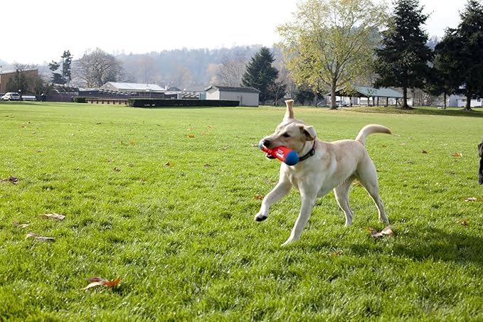 Chuckit! Amphibious Tumble Bumper Dog Toy, Floats on water,Large