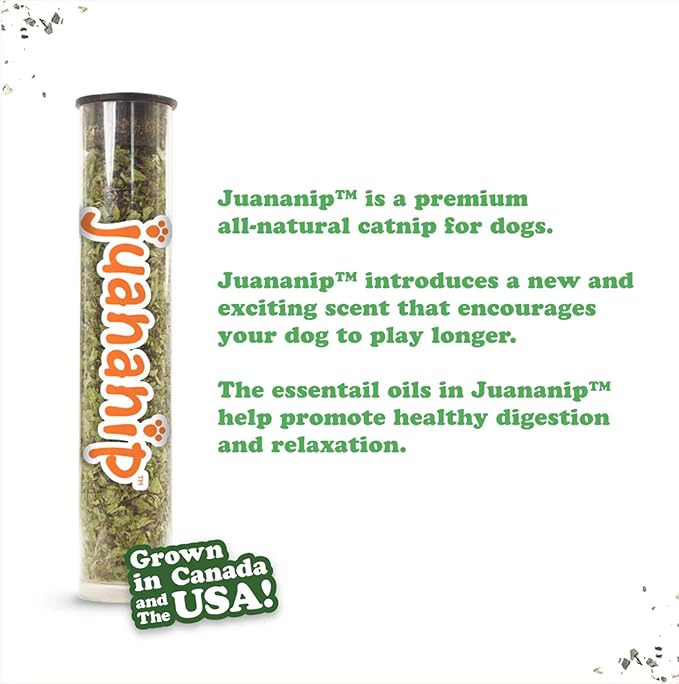 Doggijuana Cafe Combo Refillable Juananip Toy Bundle | Avocado Toast & Everything Bagel | Funny Dog Toy Plush with Catnip and Refill | Interactive Chew for Play