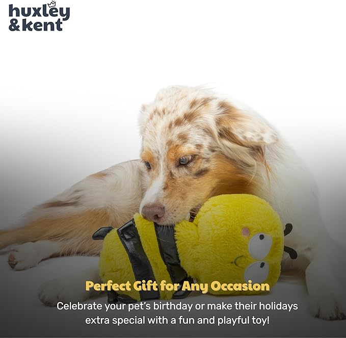 Huxley & Kent Funny Dog Toy w/Squeaker – Power Plush Squeaky Dog Toys for Small, Medium & Large Dogs – Soft Stuffed Animal for Indoor Play & Fetch - Slappies® Buzz Bee, Large