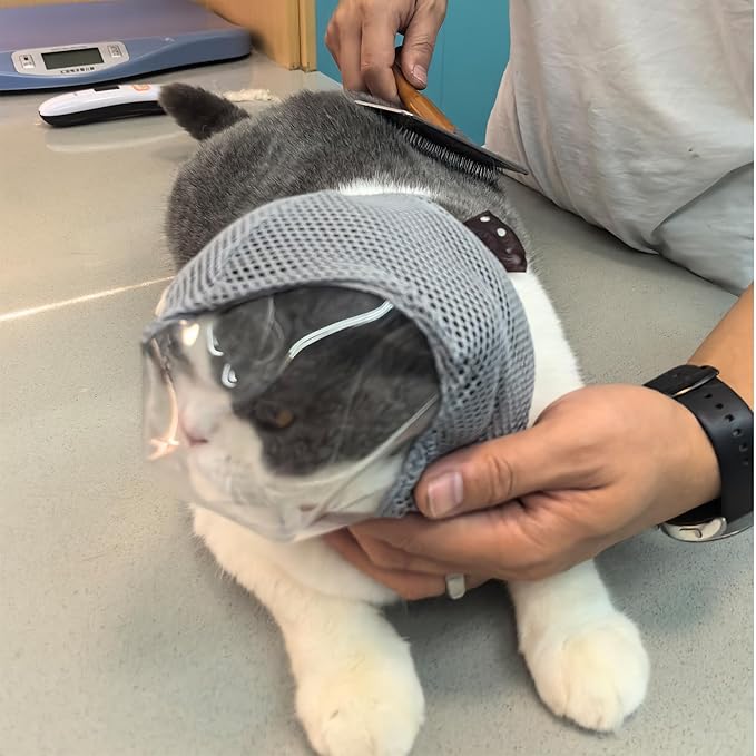 Cat Muzzle for Grooming, Adjustable Transparent Anti-Bite Cat Mask for Nail Clipping (Grey S)