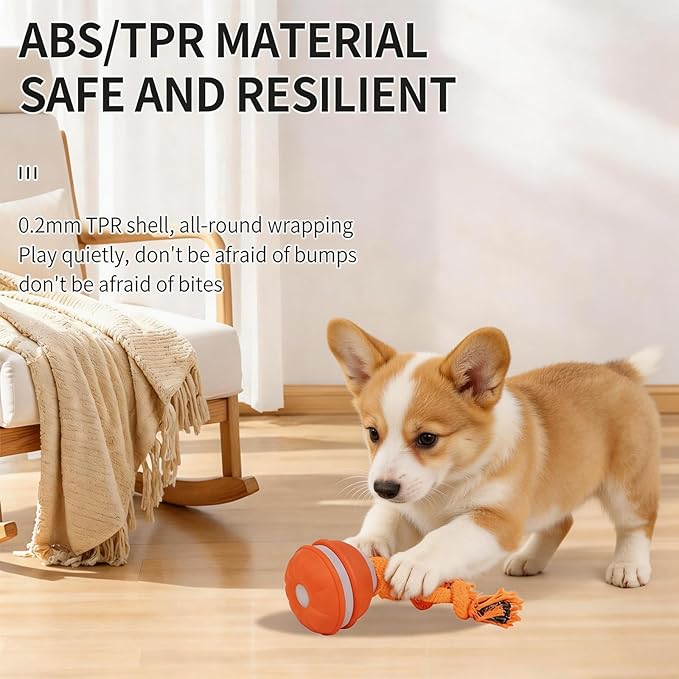 2 Pack Interactive Dog Toys - Orange & Blue Automatic Rolling Ball with Bird Sound, Durable Chew Toy for Small Medium Dogs & Cats, Type-C Rechargeable (Blue + Orange)