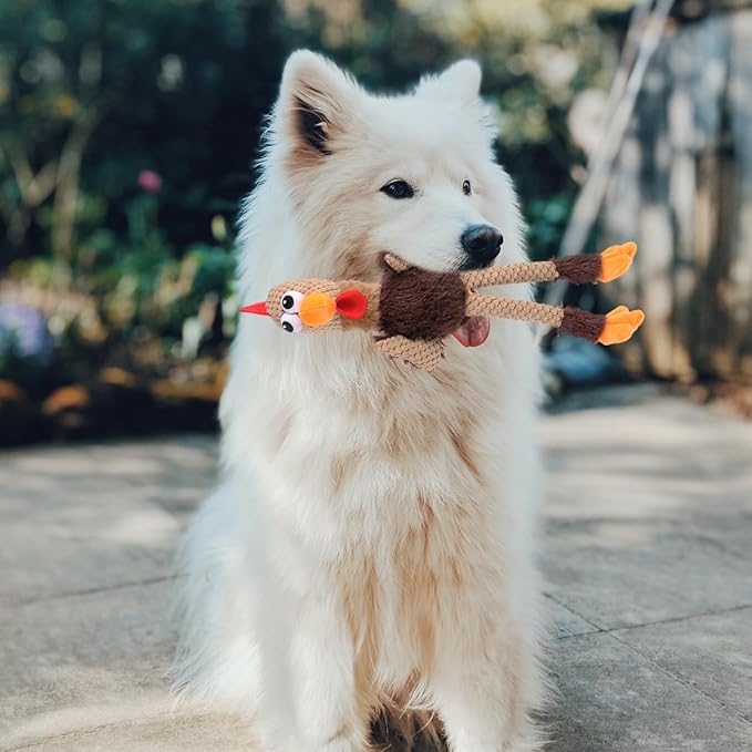 ibasenice Dog Chew Toy Rooster Shape 17.71 Inch – Teeth Cleaning & Jaw Muscle Exercise for Aggressive Chewers – for Dogs, Puppies, Cats