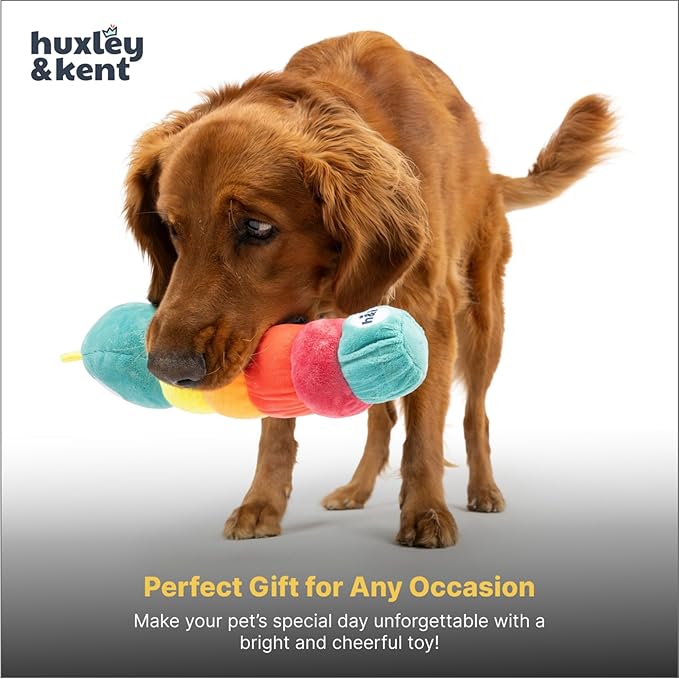 Huxley & Kent Funny Dog Toy w/Squeaker – Power Plush Squeaky Dog Toys for Small, Medium & Large Dogs – Soft Stuffed Animal for Indoor Play & Fetch - Fetchies® Caterpillar, Small