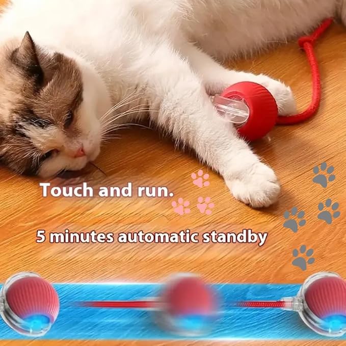 Interactive Electric Automatic Rolling Moving Rechargeable Self Play Stimulation Toy,Smart Pet Chase Ball with Speedy Tail Rope for Bored Indoor Cats enrichment,stimulating Dogs toy(Small Dogs)(Green)