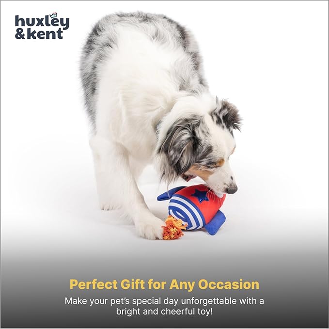 Huxley & Kent Funny Dog Toy w/Squeaker – Power Plush Squeaky Dog Toys for Small, Medium & Large Dogs – Soft Stuffed Animal for Indoor Play & Fetch - Rocket Man, Large