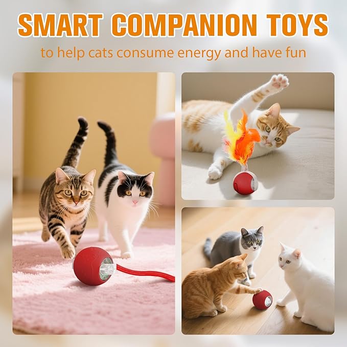Interactive Cat Toys for Indoor,Automatic Moving Electric Rolling Pet Ball,Smart Teasing Toy for Kitty,3 Modes and USB Rechargeable,Tail 2.0 Cat Feather Toy Red