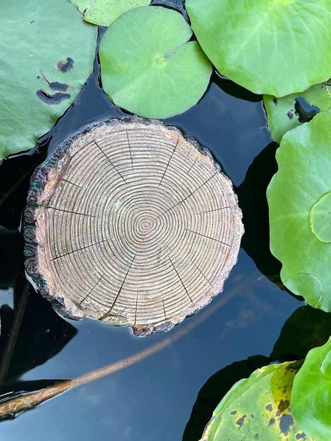 AQUA KT Aquatic Turtle Round Floating Dock Tortoise Bearded Dragon Basking Platform with Suction Cup for Reptile Aquatic Aquarium Decoration