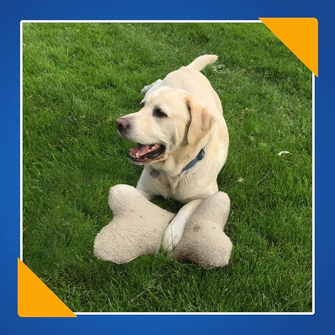 Personalized Passion Bone Shaped Pillow for Dog - Perfect Shaped Toy for Pets Personalized Name Pet Dog Toy for Play and Rest - Small
