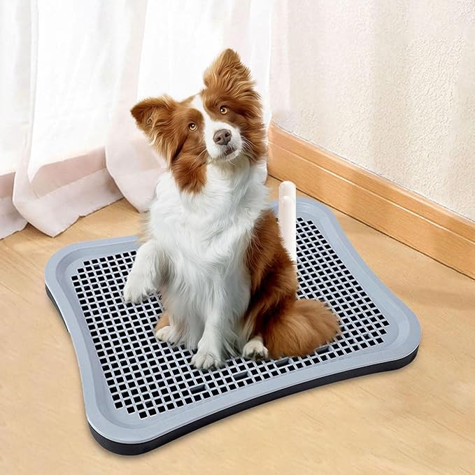 Pet Pee Toilet Puppy Potty Tray Easy to Clean Litter Bedding Box Potty Trainer Training Pads for Pets Accessories Kitten Bunny Small Animals, Black