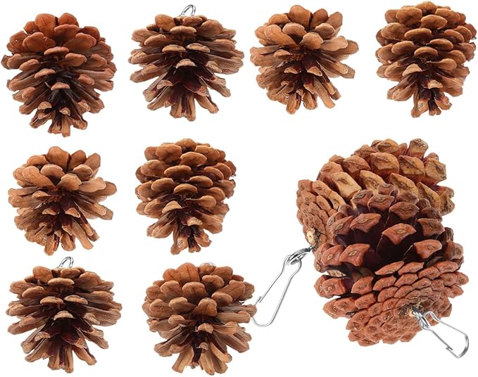 POPETPOP Hanging Parrot Chewing Toy Natural Pine Cone Bird Cage Toy for Foraging and Beak Exercise Durable Bite-Resistant Plaything for Parakeets Cockatiels Conures
