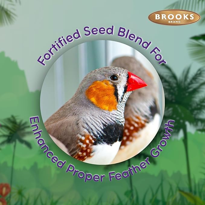 Brooks Brand Grains Plus Finch Blend Bird Food, Nyjer Seeds, Finches Bird Seed Mix, Gold Finch Niger Seeds for Birds, Finches Food for Indoor Birds (4.5 lbs)