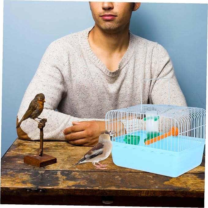 Portable Multi-Functional Bird Carrier Cage for Parrots and Small Animals Spacious Abs and Iron Travel Cage with Comfortable Interior Sturdy Design for Easy Transport Random Color