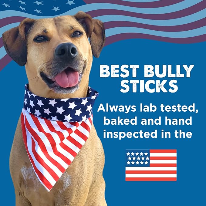 Premium Real Beef Snap Sticks - 12 Count (Pack of 1) - 100% Natural, No Additives, USA Packed, Easy to Digest, Rawhide-Free, High Protein, Great for Puppy Training