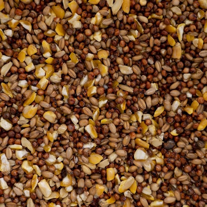 AMERICAN CLASSIC 3-Way Hen Scratch Chicken Feed - 50 Pound Bag