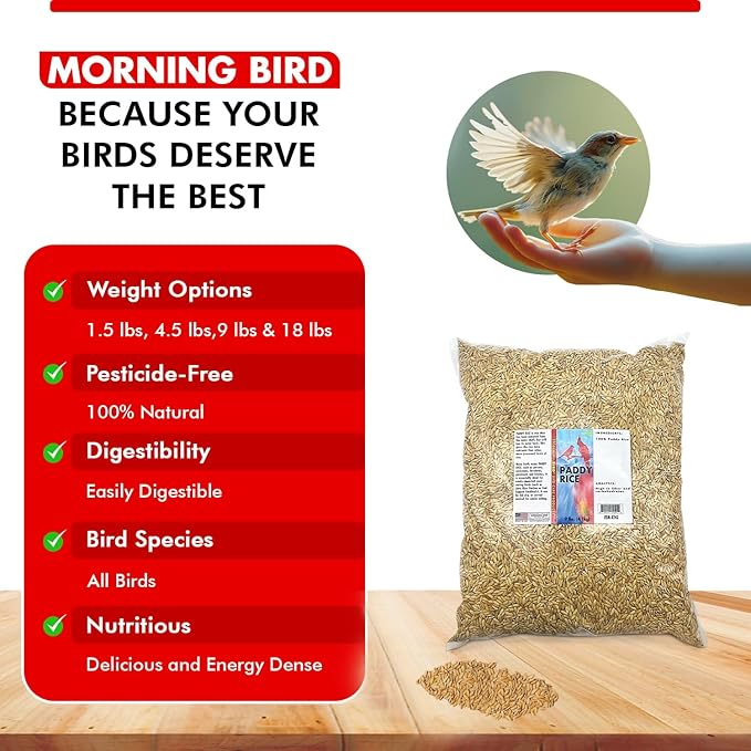 Morning Bird Paddy Rice 9 lbs Bird Seed for Health & Nutritious Bird Food – High Fiber with Natural Vitamins and Minerals - Supports Feathers & Immune Defense – Ideal for All Seed Eating Birds.