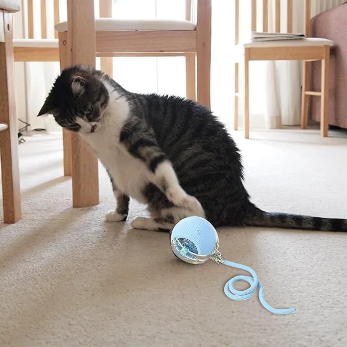 Interactive Rolling Dog Ball, Chewie Viral Rolling Ball, Chewie Ball for Dogs, Interactive Dog Smart Ball Toy, Smart Automatic Rolling Pet Ball for Dog Cat