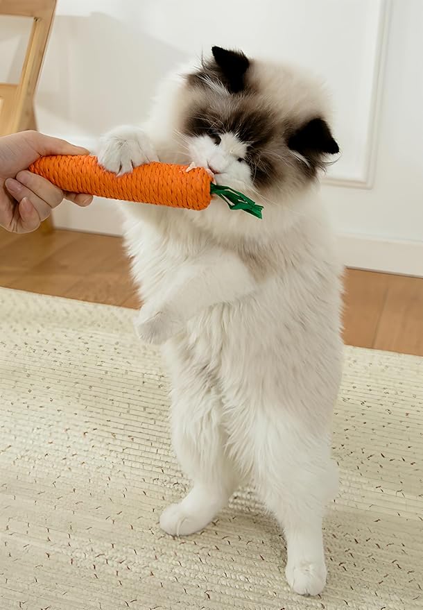 3-Pack Sisal Carrot Pet Chew Toys, Cute Squeaky Dental Cleaning Toys for Cats and Small Dogs, Durable Teething & Interactive Play Set