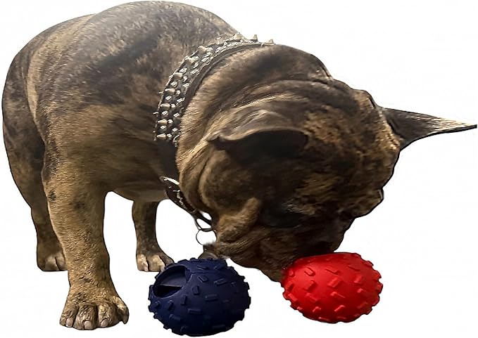 Challenging Treat-Dispensing Ball for Pigs Piglets Dogs Rabbits Cats and Other Small Animals – Mental Stimulation and Playtime Fun (Red)