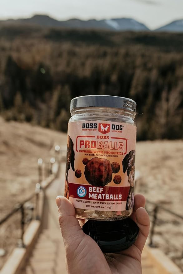 Boss Dog Boss Proballs Meatball Treats for Dogs & Cat, Beef Recipe, 6 oz Jar (Jar of 2)