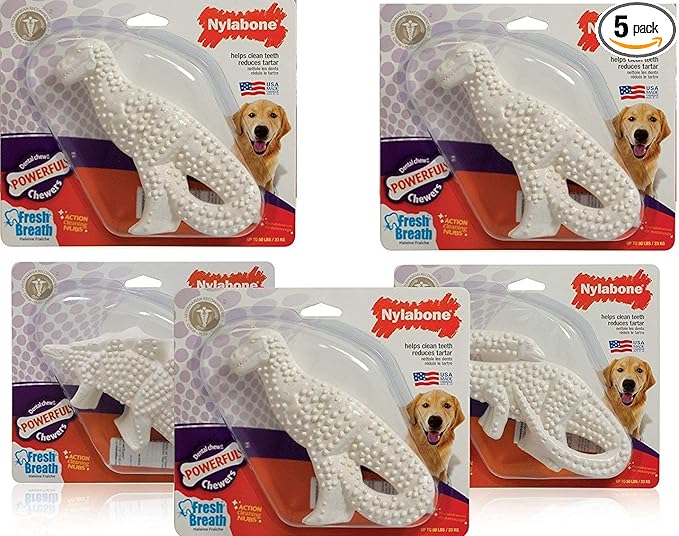 Nylabone 5 Pack of Power Chew Dental Dinosaur, Regular, Assorted Shapes