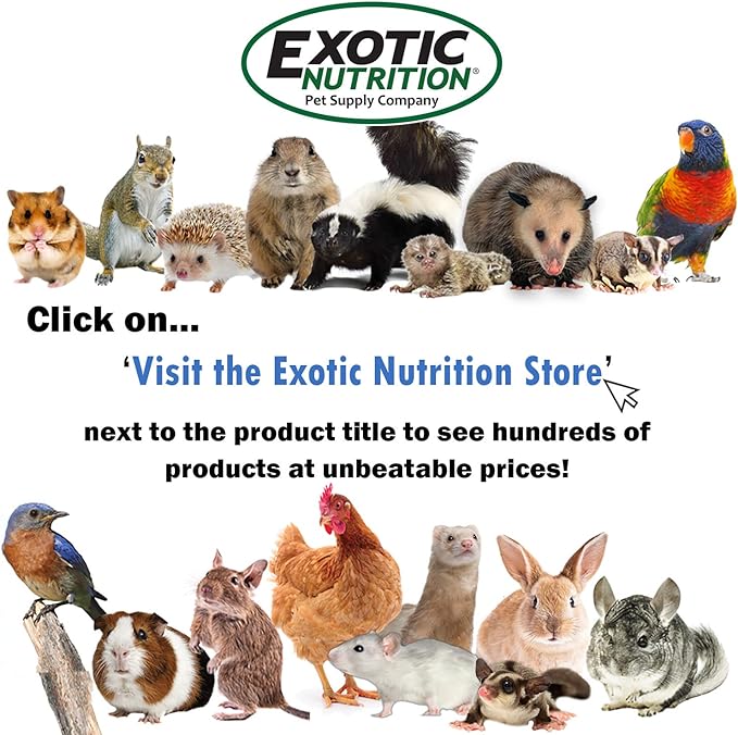 Exotic Nutrition Gliderade Nectar (1.5 lb.) - Vitamin-Enriched Healthy Nectar Supplement - Powdered Mix - Provides Necessary Carbohydrates for Sugar Gliders