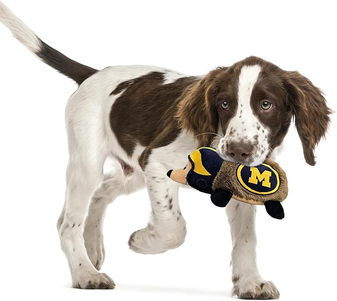 NCAA Michigan Wolverines Plush Hedgehog Toy for Dogs & Cats, Cool Soft Pet Toy for Fun and Interactive Play, Dog Chew Toy with Squeaker, Licensed Hot Pet Toy