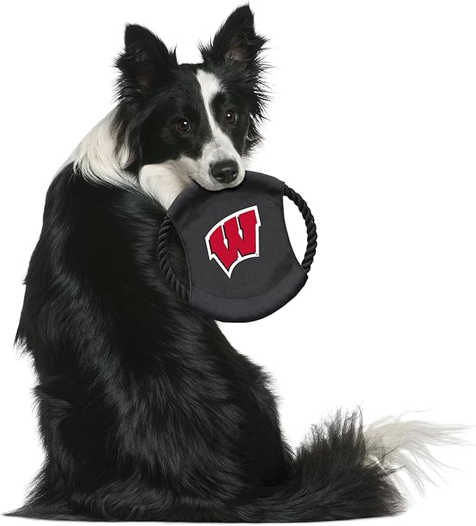 Littlearth NCAA Unisex NCAA Sock Monkey and Flying Disc Pet Toy Combo Set