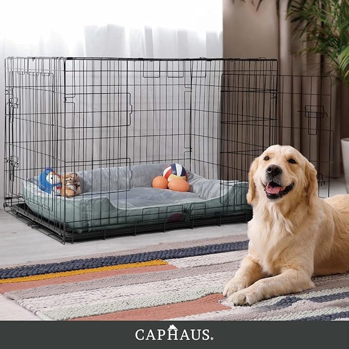 CAPHAUS Foldable Dog Crate Wire Metal Dog Kennel w/Leak-Proof Pan & Protecting Feet & Divider Panel, Single Door, Small, Medium & Large Dog Crate Indoor Wire Dog Cage, 30” New Version w/Single Door