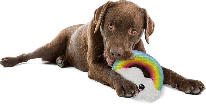 Pets First Rainbow Cloud Rope & Plush Pet Toy with 6 Ropes & Squeaker by LAURDIY Super Cute Dog Colorful Toy
