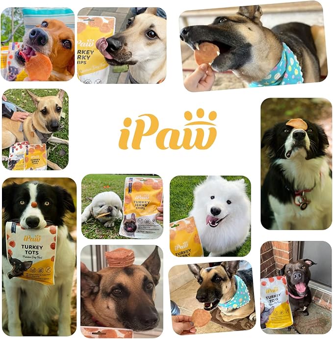 iPaw 2 Saver Combo Turkey Tots Dog Treats for Puppy Training, All Natural Human Grade Dog Treat, Hypoallergenic, Easy to Digest (Turkey Tots), 2 Packs