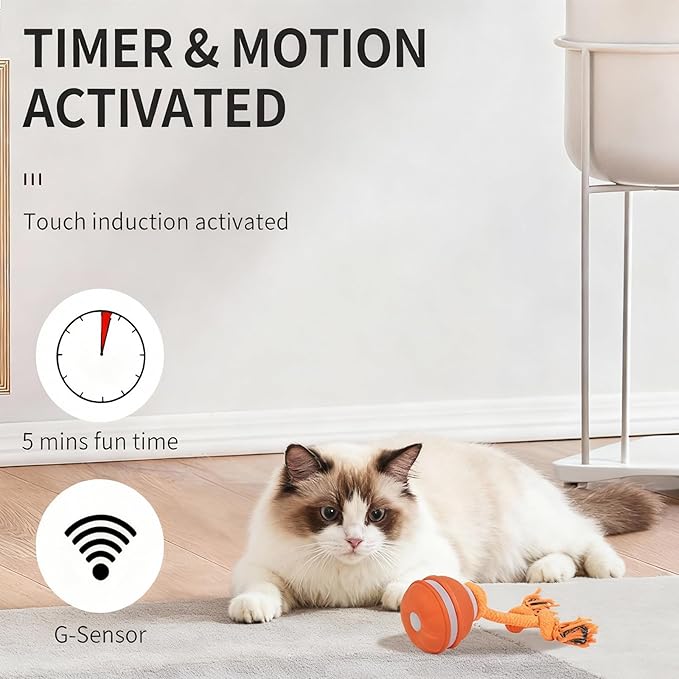Interactive Dog Cat Toys Dog Ball,Automatic Rolling and Bouncing Moving Dog Toy,Squeaky Rolling Balls with Flashing Light,USB Rechargeable Chew Toys for Puppy Small Dogs, Pet Ball to Keep Them Busy