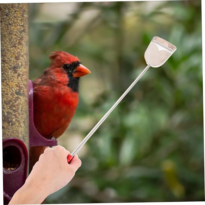 2pcs Bird Cage Cleaning Brush Set Durable and Droppings Cleaner for Pet Birds and Small Animal Cages Versatile Maintenance Tools for Healthy Habitat