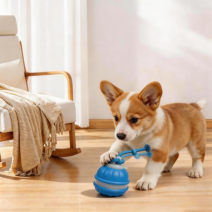 Interactive Dog Toy - Automatic Rolling Ball with Bird Sound, Durable Chew Toy for Small Medium Dogs & Cats, Type-C Rechargeable (Blue)