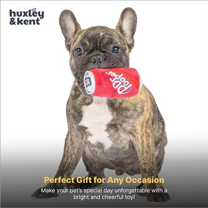 Huxley & Kent Funny Dog Toy w/Squeaker – Power Plush Squeaky Dog Toys for Small Dogs – Durable Small Stuffed Animal for Indoor Play & Fetch - Tiny Tuff Dr Pooper