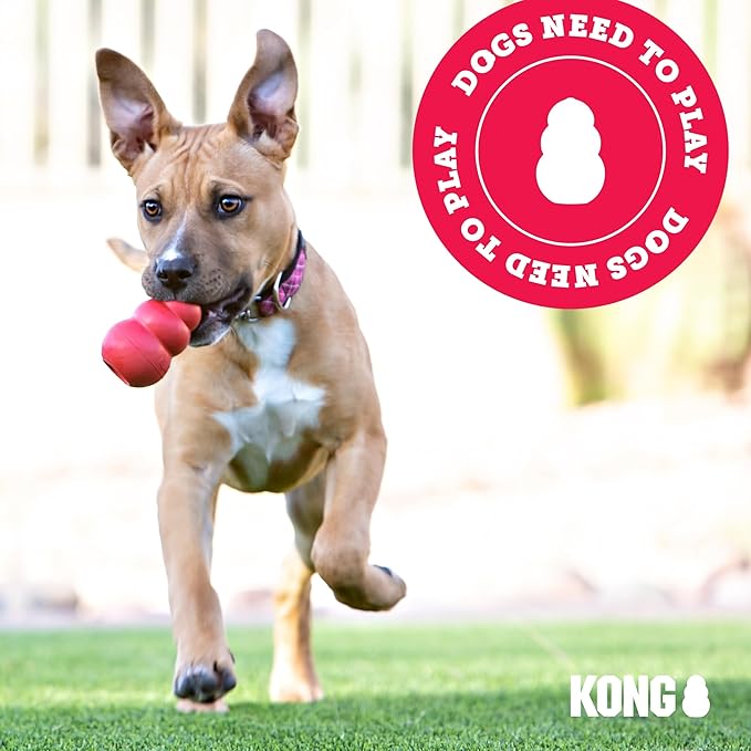 KONG Classic Stuffable Dog Toy & KONG Marathon Chicken-Flavored Treats (2 Pack) - Fetch & Chew Toy for Dogs - With Dog Toy Filler Treat - For Hours of Fun & Enrichment - For Medium Dogs