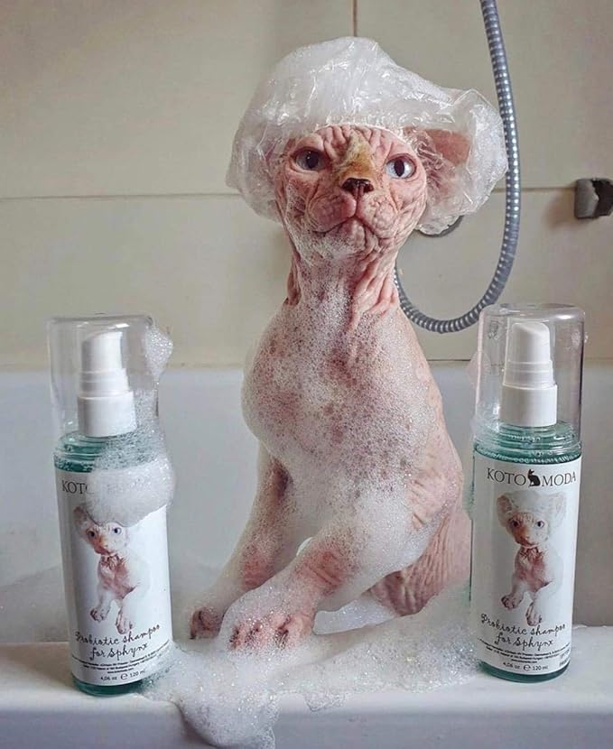 Probiotic Shampoo + Foam Dispenser Kit for Sphynx Cats, Gentle Unscented pH-Balanced Cleanser for Hairless and Short-Hair Breeds with Sensitive Skin, 4.06 fl oz / 120 ml