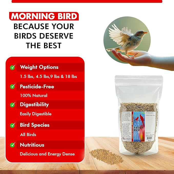 Morning Bird Paddy Rice 1.5 lbs Bird Seed for Health & Nutritious Bird Food – High Fiber with Natural Vitamins and Minerals - Supports Feathers & Immune Defense – Ideal for All Seed Eating Birds