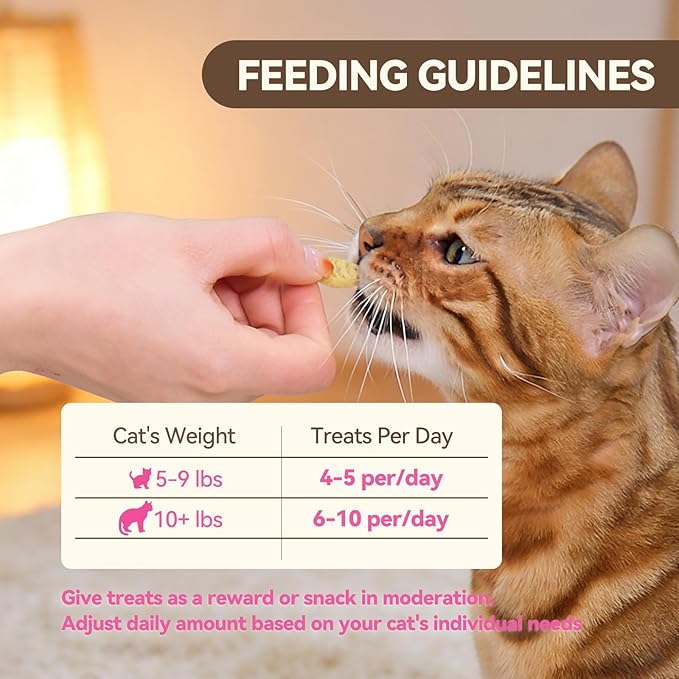 Catnip Cat Treats, Chicken & Salmon Flavor Crunchy Cat Biscuits, Fish-Shaped Training Snacks for Adult Cats, 30 oz