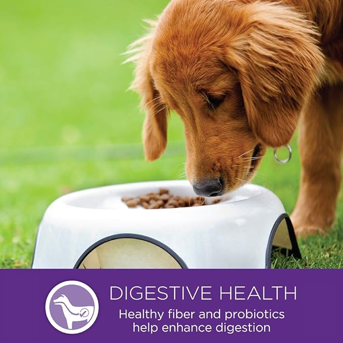 Wellness Complete Health Healthy Weight Small Breed Adult Dry Dog Food, Wholesome Grain Kibble, Natural, Turkey and Brown Rice Recipe, 4 lb Bag
