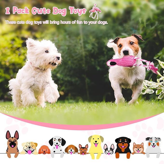 Sotiff 2 Pack Pink Flamingo Dog Plush Cute Squeaky Puppy Teething Plush Animal Interactive Stuffed Rope Pet Fake Birds for Small Medium Large Dogs Birthday Gifts