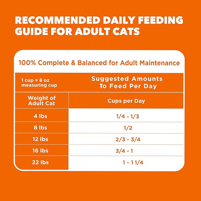 IAMS Proactive Health Dry Cat Food, Healthy Cat Food Dry Recipe for Adults, Salmon, 3.5 lb. Bag