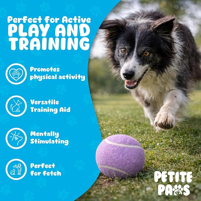 BundleBee Petite Paws Squeaky Tennis Balls for Dogs 2.5 Inch - 12 Pack Dog Toy Balls - Non-Toxic Rubber Squeaky Balls for Medium Large Dogs, Fetch Training Toys, Colorful Bouncy Dog Ball