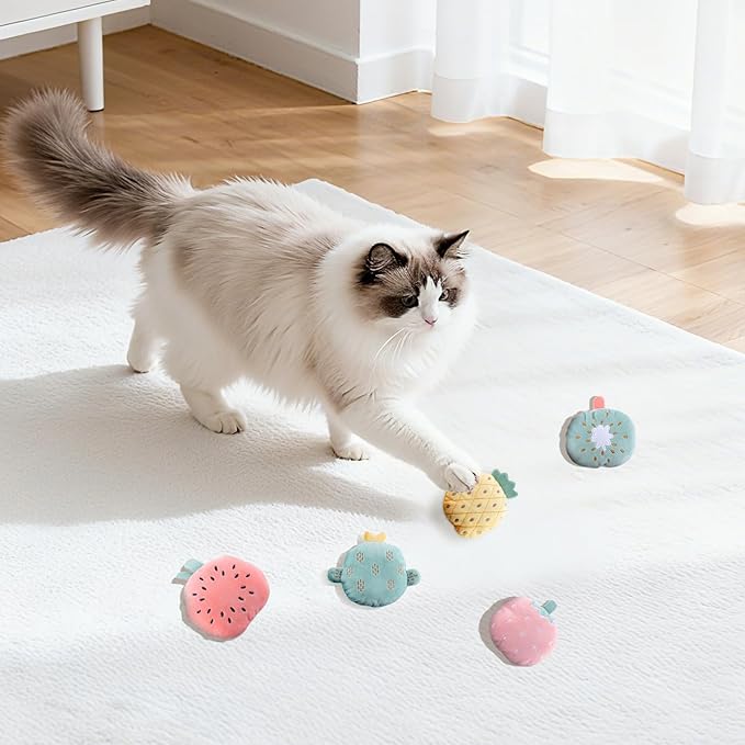 Catnip Cat Toys, 5-Pack Catnip Toys for Cats, Soft and Durable with Catnip, Interactive Kitten Toys for Indoor Cats, Fruit Shape