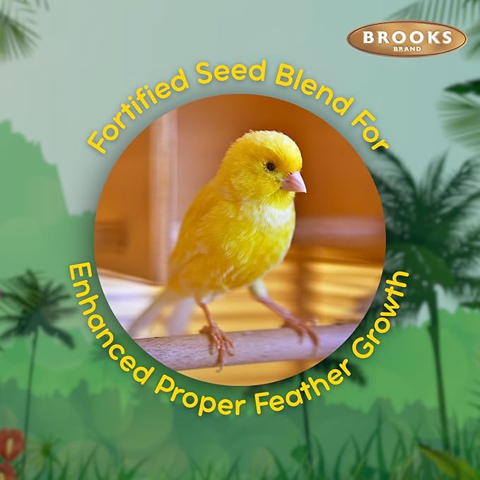Brooks Brand Grains Plus Canary Blend, Canary Bird Food Seed, Seeds for Birds, Comida para Canarios, Alpiste para Pajaros (4 lbs)