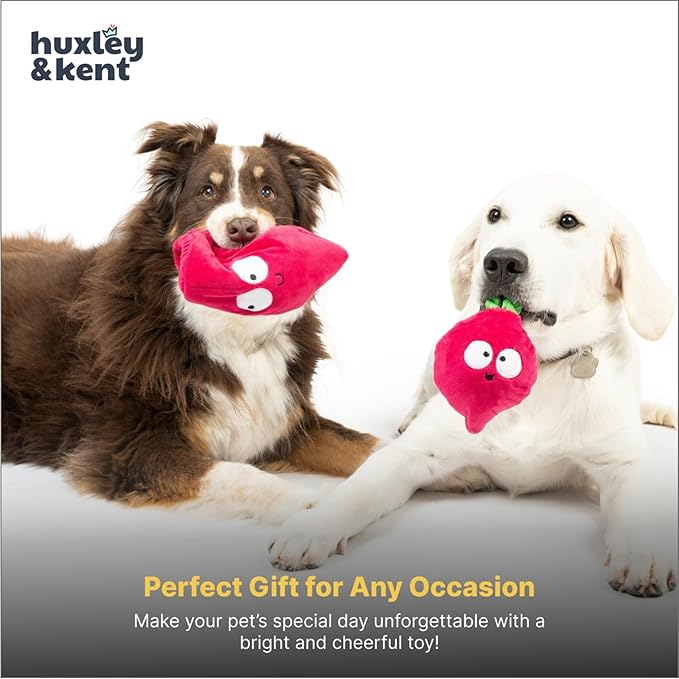 Huxley & Kent Interactive Funny Dog Toy w/Squeaker - Power Plush Treat Hiding Toy - Cute and Funny Soft Puzzle for Small & Large Dogs - Pop 'n Fetch Beet, Small